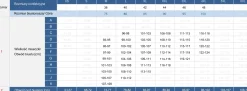 Biustonosz kąpielowy dla dużego biustu FG04/930P