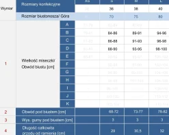 Góra - Top kąpielowy w kratkę Vichy FLG11/824